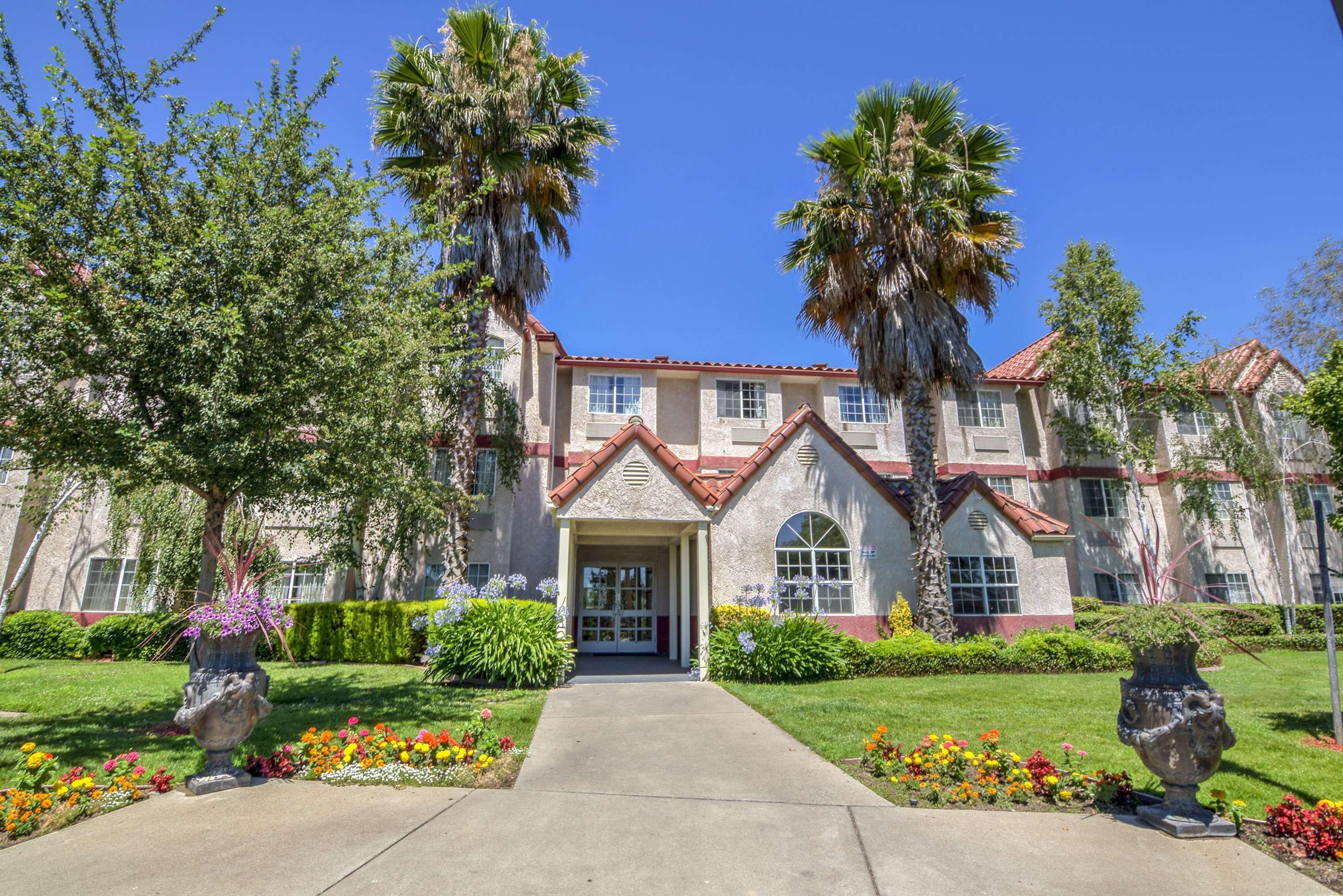 Best Western Plus Palm Court Hotel Davis Eksteriør bilde